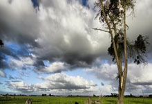 托尼·克罗斯算巨星吗？